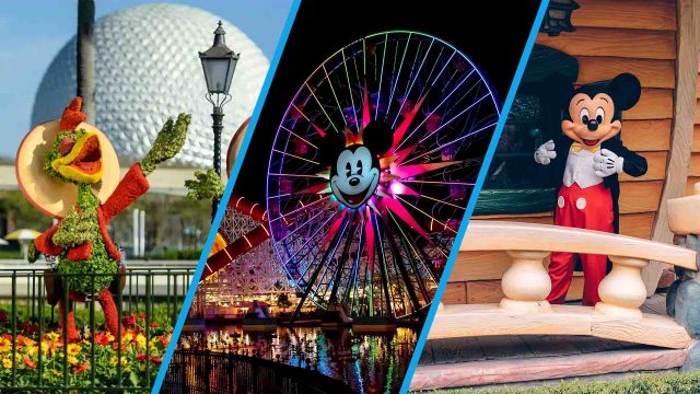Park Watch header - EPCOT flower and garden festival, California Adventure, Mickey's Toontown