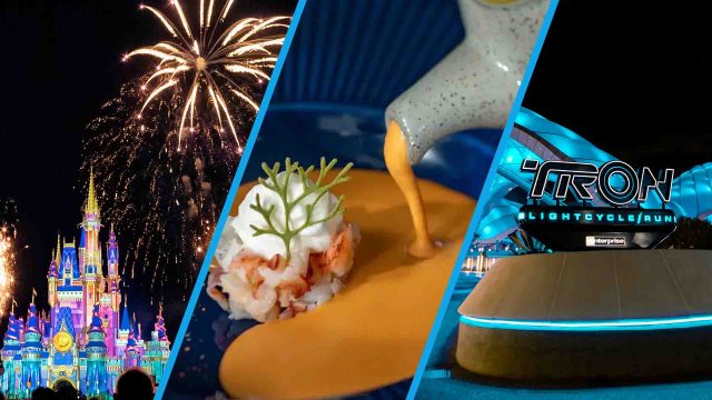 Park Watch Header: Happily Ever After fireworks, Narcoossee's, TRON