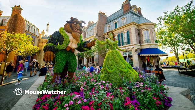 Beauty and the Beast topiary in EPCOT for the Flower and Garden Festival